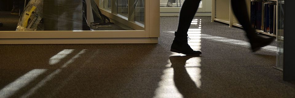 University Business and Economics Library, person walking in beam of sun