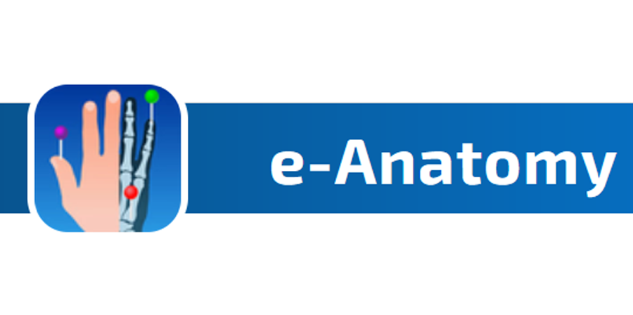 e-Anatomy