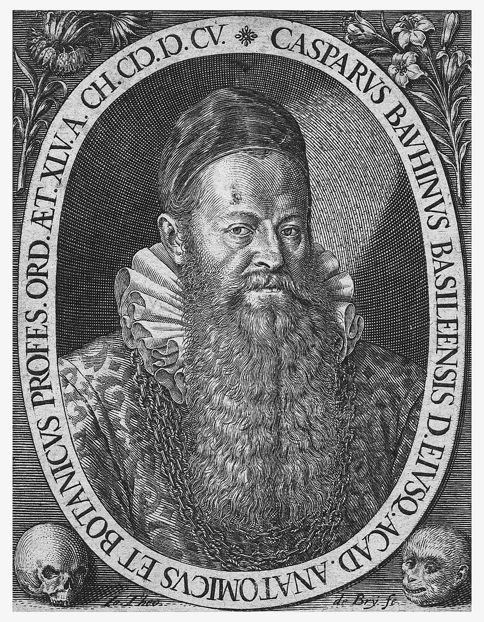 Porträt von Caspar Bauhin, Kupferstich, ca. 1560.