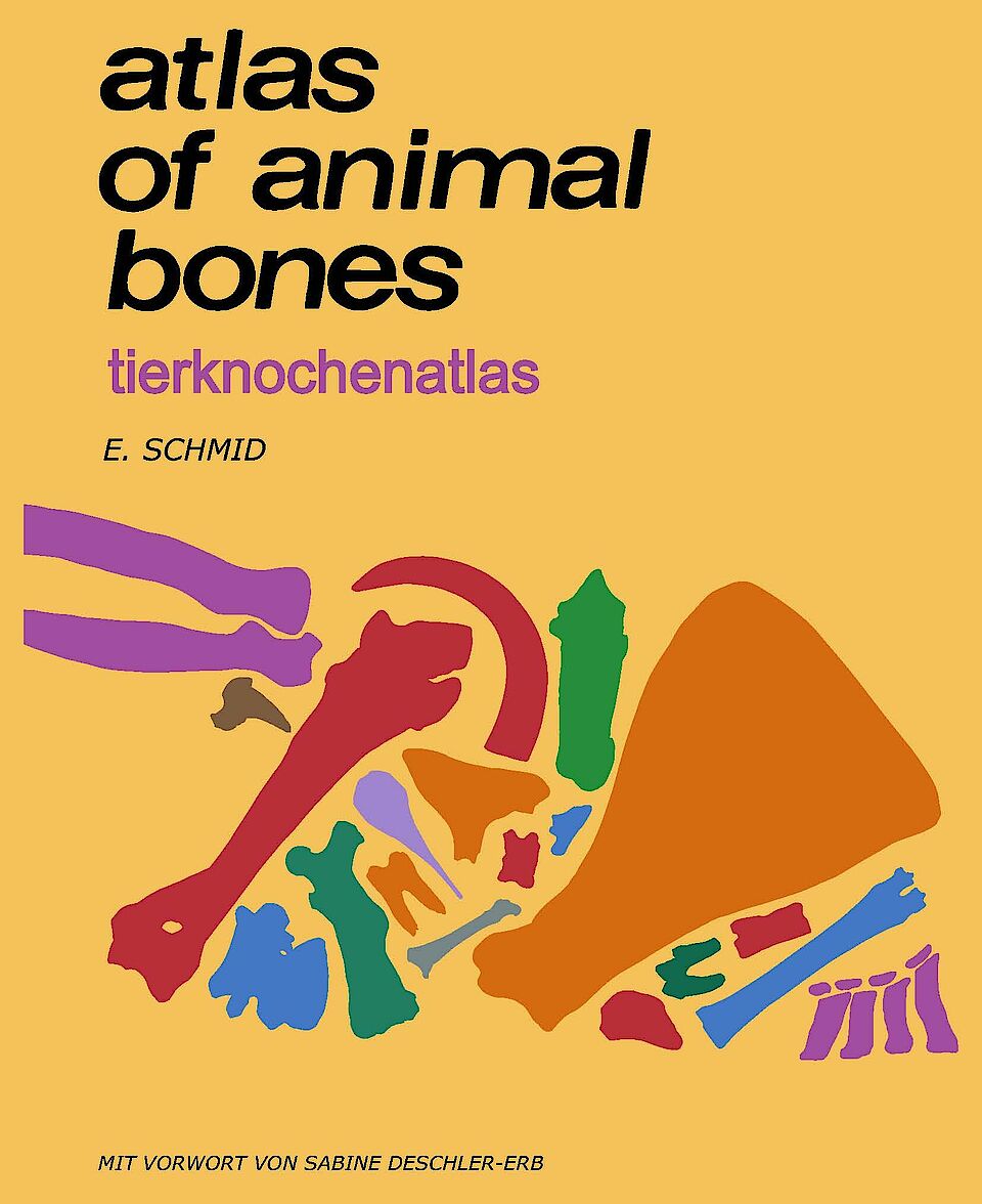 Titelbild Knochenatlas