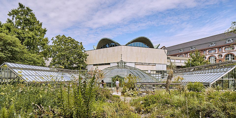 Botanischer Garten