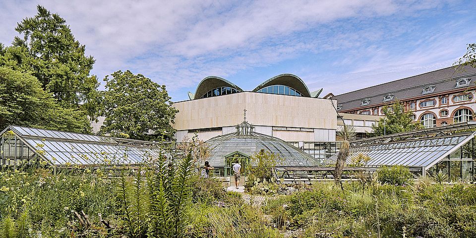 Botanischer Garten