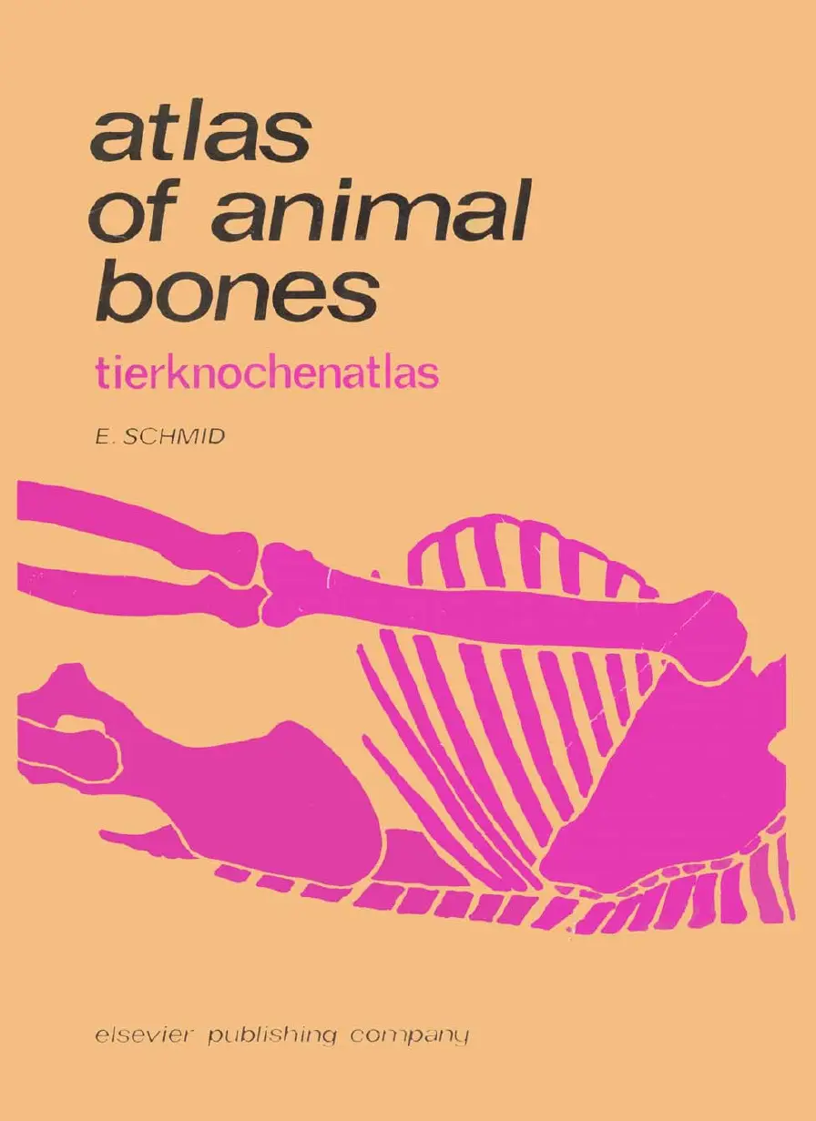 Titelbild Tierknochenatlas
