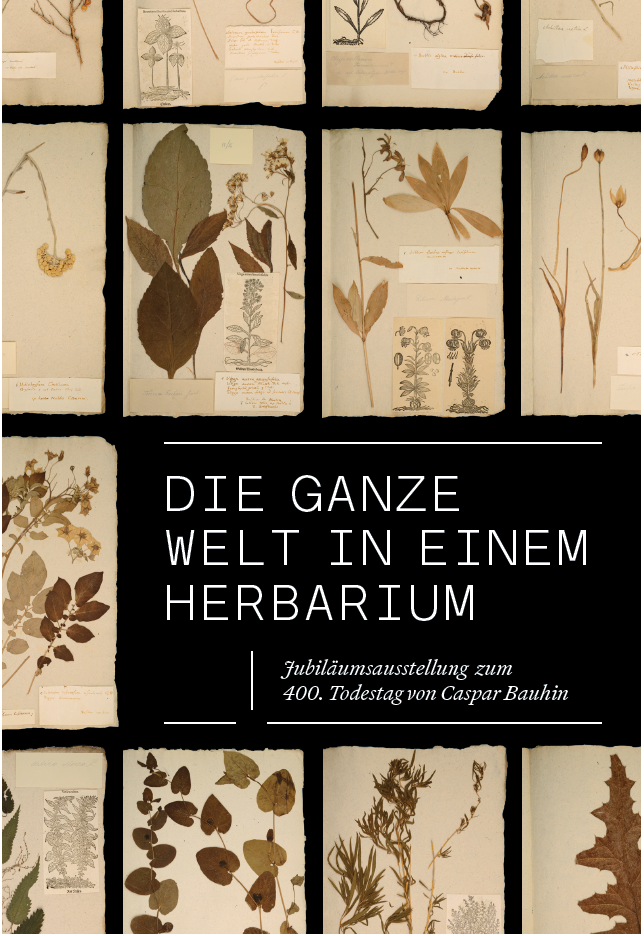 Bild_Herbarium